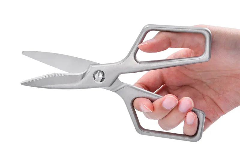 KSシリーズ KS-32DS 鳥用はさみ