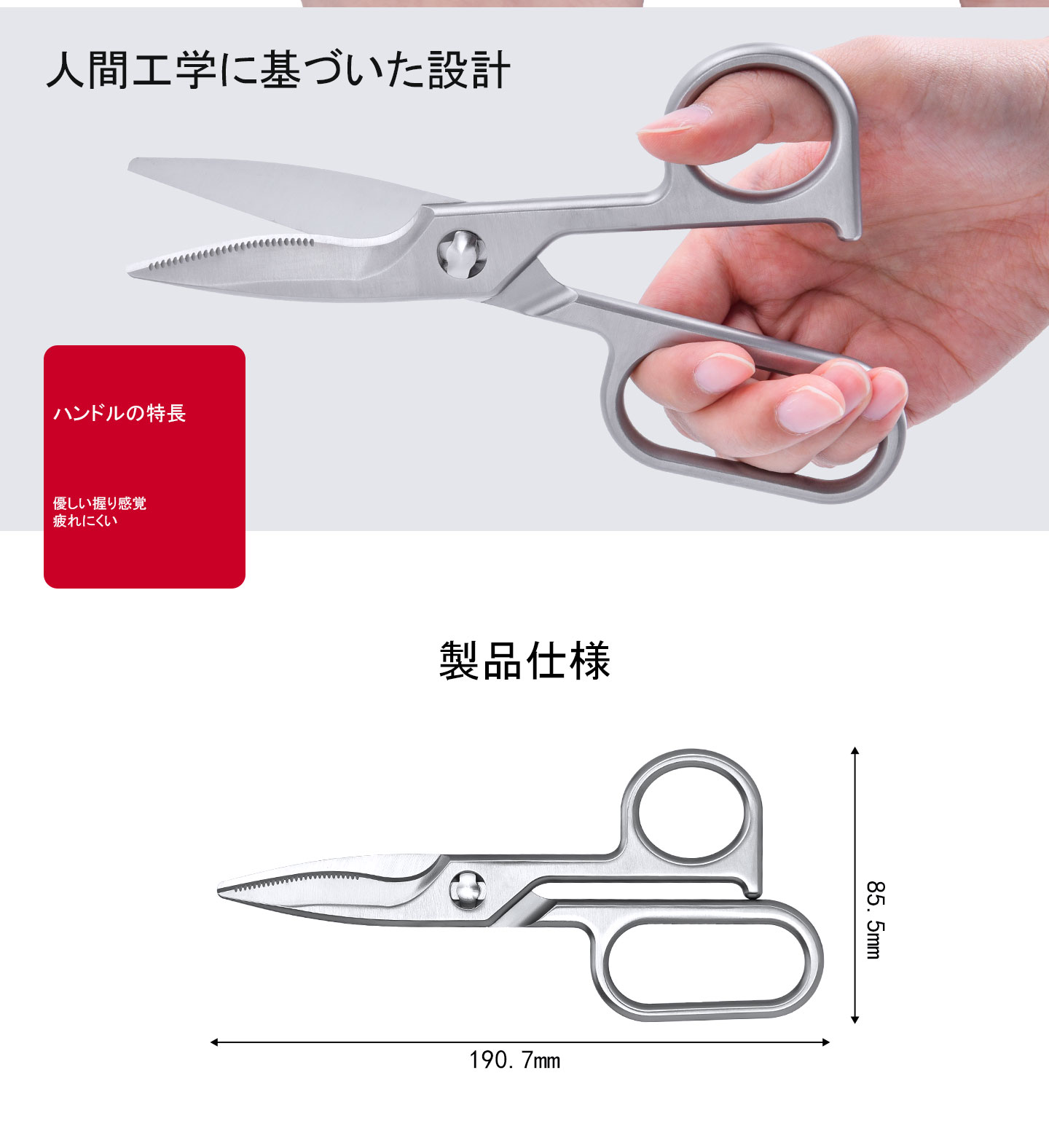 KS-11DSオールステンレスキッチンバサミ