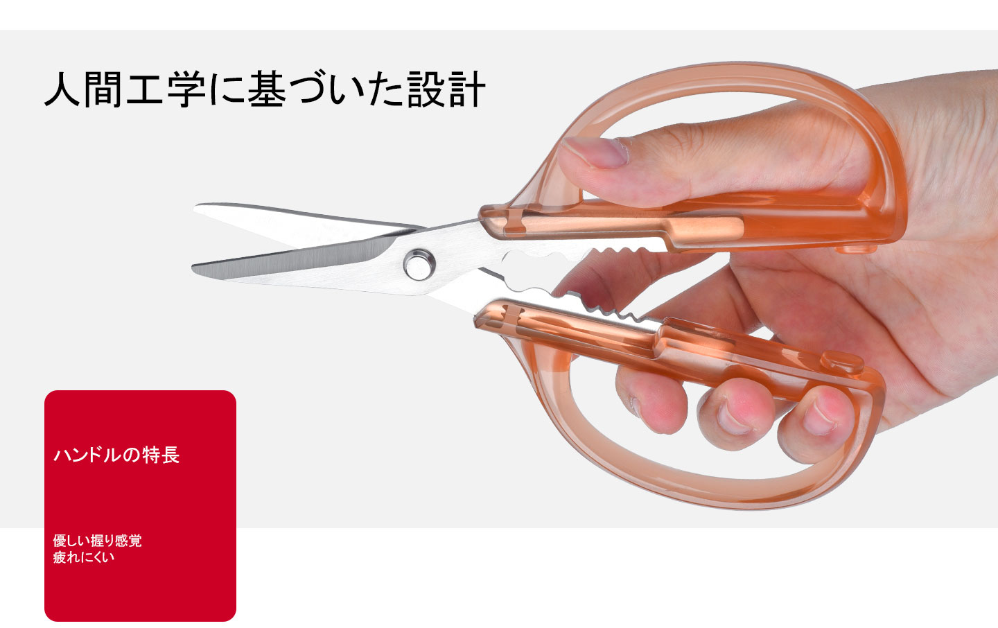 KS-1８　枝切りはさみ