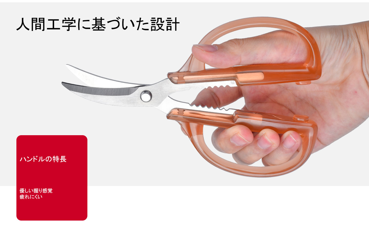 KS-17　海鮮はさみ