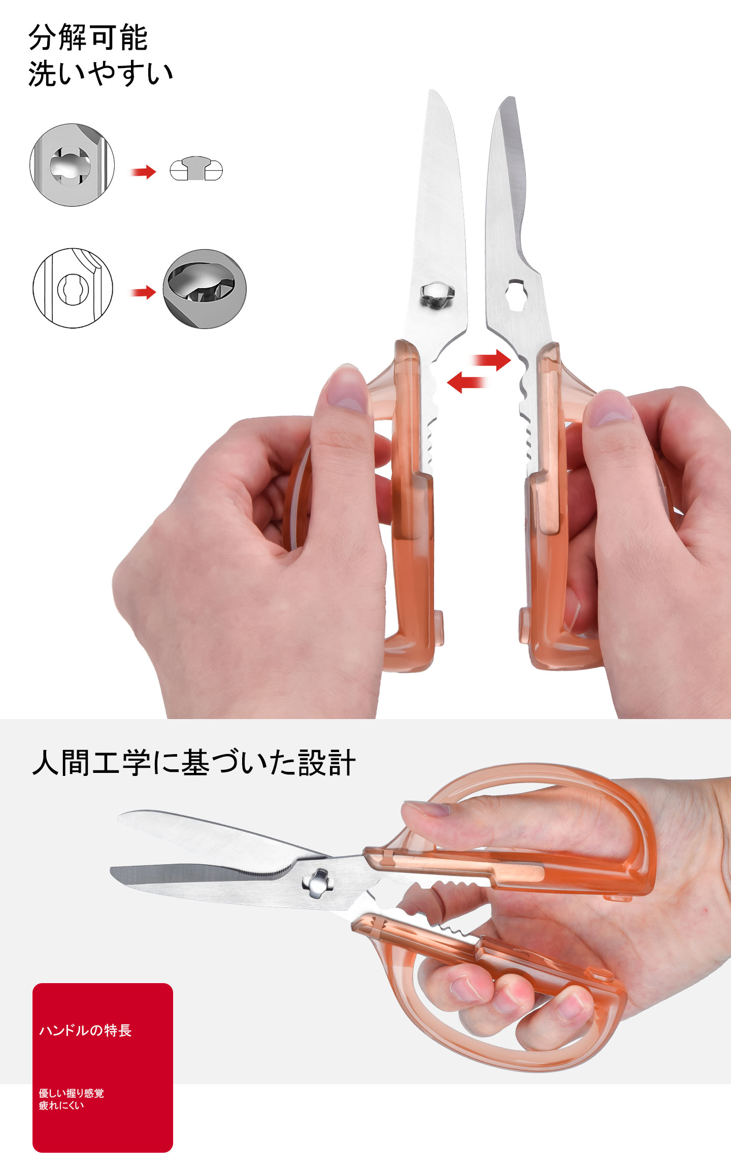 KS-14D分解可能キッチンバサミ