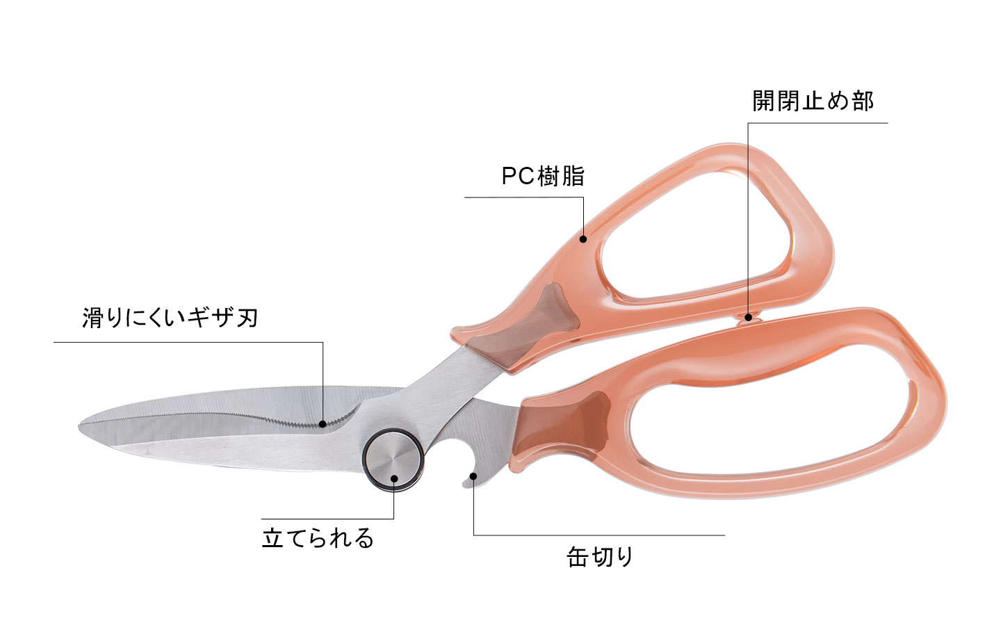 KS-09立てられるキッチンバサミ
